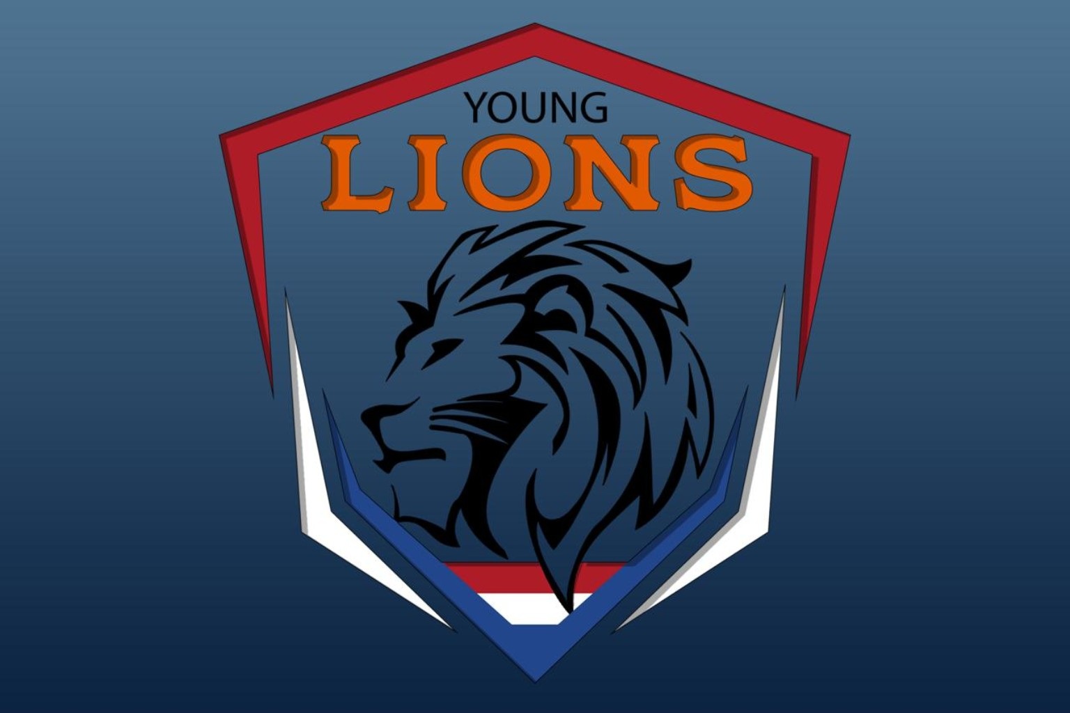 Young Lions Basketball logo